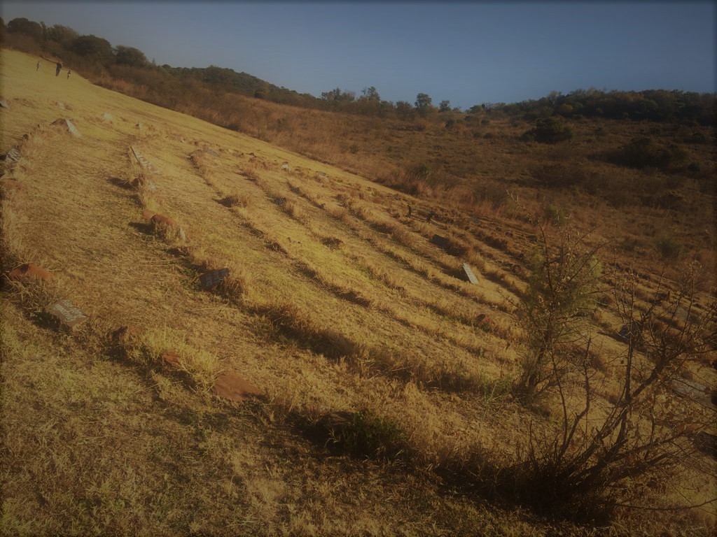 Labyrinth